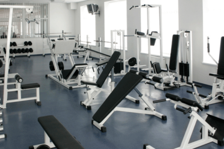 Control de plagas en gimnasios y polideportivos | Plaguitecno